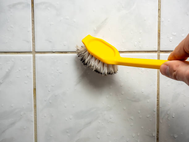 Best Mold Removal Company Near Me  in Hemphill, TX